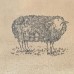 Sheep Hob Cover
